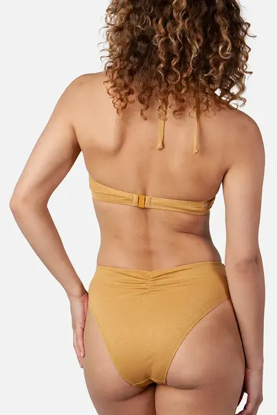BARTS ALVIOT HALTER