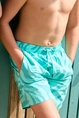 BEACHLIFE BLUE ZEBRA SWIMSHORTS