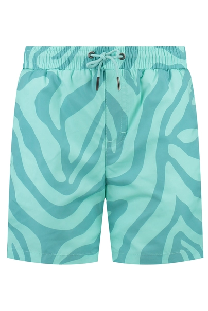 BEACHLIFE BLUE ZEBRA SWIMSHORTS