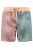 BEACHLIFE MULTISTRIPE SWIMSHORTS