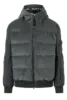 BOGNER COREY-D
