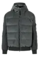 BOGNER COREY-D