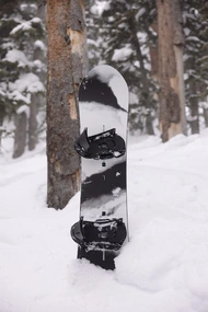 BURTON FAMILY TREE ALEKESAM CAMBER SNB