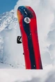 BURTON FAMILY TREE HOMETOWN HERO SNB