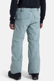 BURTON M COVERT PANTS 2.0