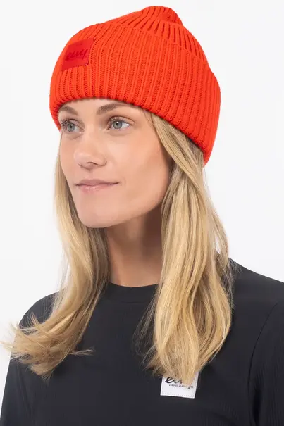 EIVY TONAL BEANIE