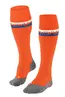 FALKE SK2
