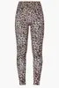 GOLDBERGH ARTEMIS TIGHT
