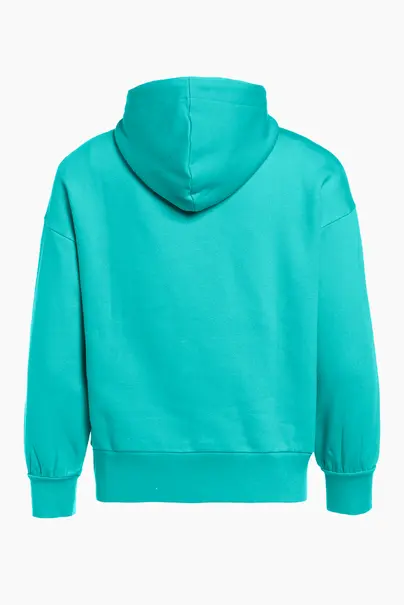 GOLDBERGH SPARKLING HOODED SWEATER