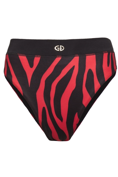 GOLDBERGH TEVY BRIEF
