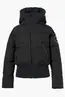 GOLDBERGH VILLAGE SKI JACKET