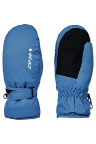 ICEPEAK HAYSVILLE JR