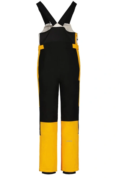 ICEPEAK LOURDES JR