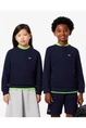 LACOSTE 1ES1 SWEATSHIRT 12