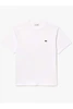 LACOSTE 1HT1 TEE-SHIRT 12