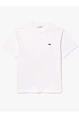 LACOSTE 1HT1 TEE-SHIRT 12