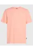 O'NEILL BOX LOGO T-SHIRT