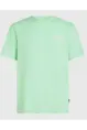 O'NEILL BOX LOGO T-SHIRT