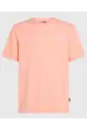 O'NEILL BOX LOGO T-SHIRT