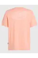 O'NEILL BOX LOGO T-SHIRT