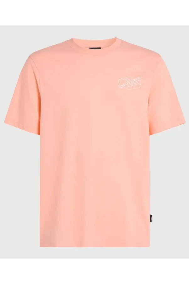 O'NEILL BOX LOGO T-SHIRT