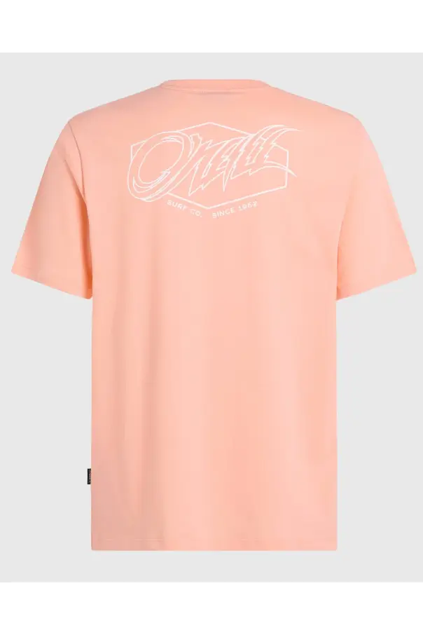 O'NEILL BOX LOGO T-SHIRT