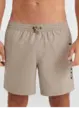 O'NEILL CALI 16" SWIM SHORTS