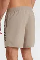 O'NEILL CALI 16" SWIM SHORTS