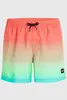 O'NEILL CALI GRADIENT 15" SWIM SHORTS