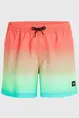 O'NEILL CALI GRADIENT 15" SWIM SHORTS
