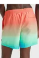 O'NEILL CALI GRADIENT 15" SWIM SHORTS