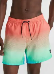 O'NEILL CALI GRADIENT 15" SWIM SHORTS