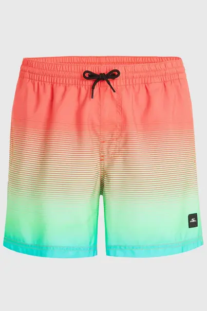 O'NEILL CALI GRADIENT 15" SWIM SHORTS