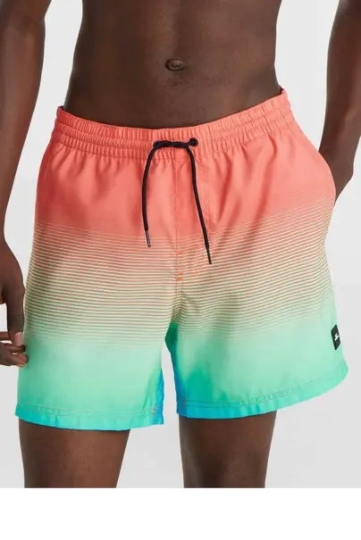 O'NEILL CALI GRADIENT 15" SWIM SHORTS
