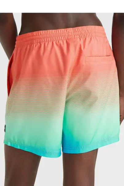 O'NEILL CALI GRADIENT 15" SWIM SHORTS