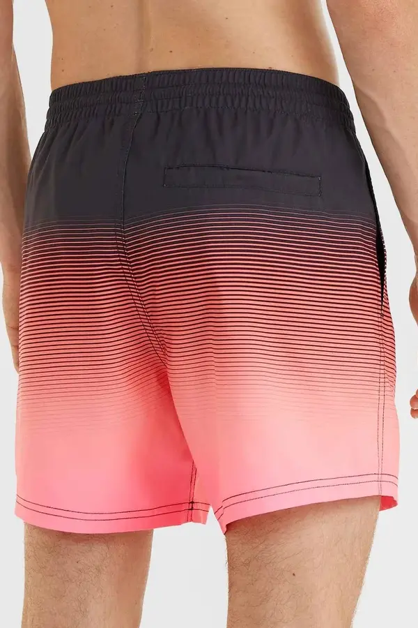 O'NEILL CALI GRADIENT 15" SWIM SHORTS