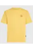 O'NEILL O'RIGINALS VINTAGE GRAPHIC T-SHIRT