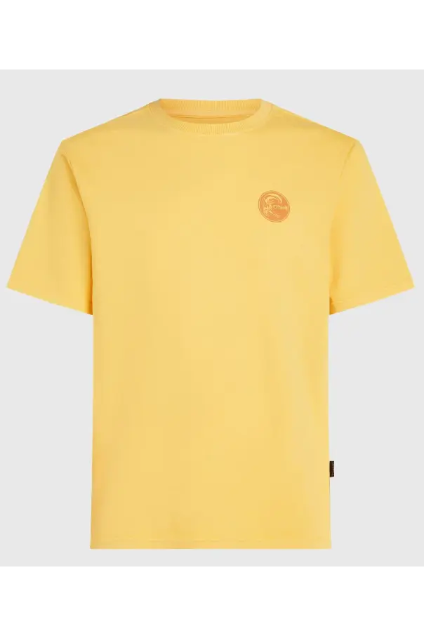 O'NEILL O'RIGINALS VINTAGE GRAPHIC T-SHIRT
