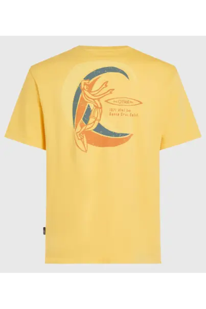 O'NEILL O'RIGINALS VINTAGE GRAPHIC T-SHIRT