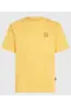 O'NEILL O'RIGINALS VINTAGE GRAPHIC T-SHIRT