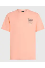 O'NEILL RETRO GRAPHIC T-SHIRT