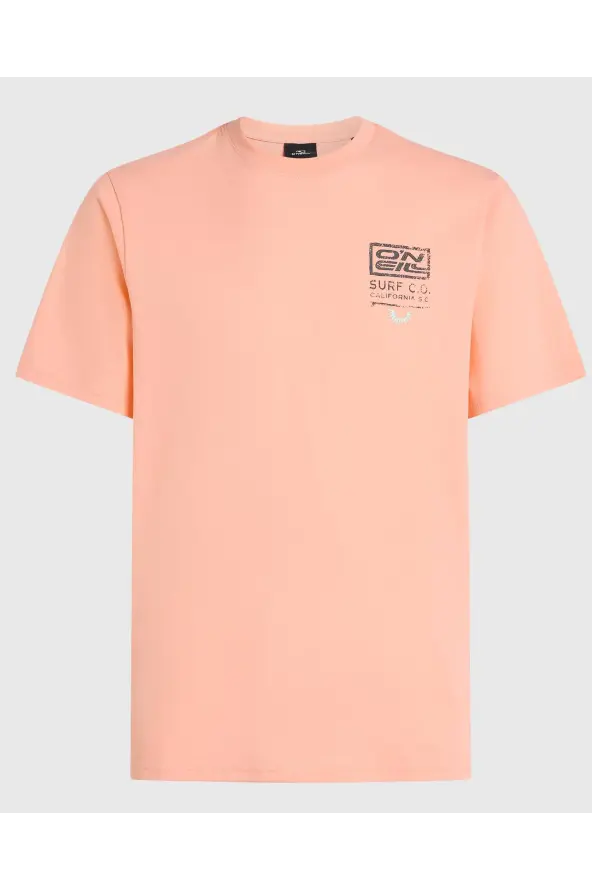 O'NEILL RETRO GRAPHIC T-SHIRT