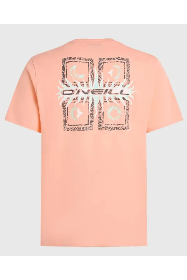 O'NEILL RETRO GRAPHIC T-SHIRT