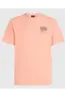 O'NEILL RETRO GRAPHIC T-SHIRT