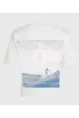 O'NEILL SUMMER MUSTHAVES GRAPHIC T-SHIRT
