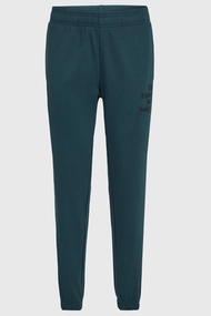 O'NEILL THE FUTURE SURF SOCIETY SWEATPANTS