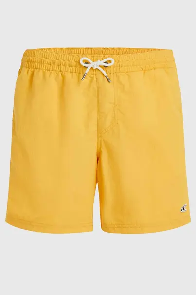 O'NEILL VERT 16" SWIM SHORTS
