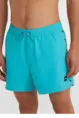 O'NEILL VERT RETRO 14" SWIM SHORTS
