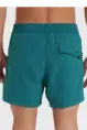 O'NEILL VERT RETRO 14" SWIM SHORTS