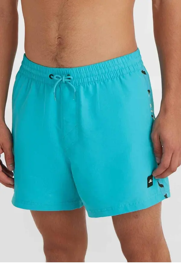 O'NEILL VERT RETRO 14" SWIM SHORTS